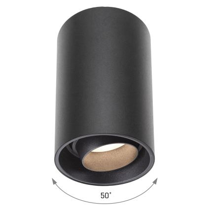 Oświetlenie punktowe CHLOE 1xGU10/50W/230V czarne