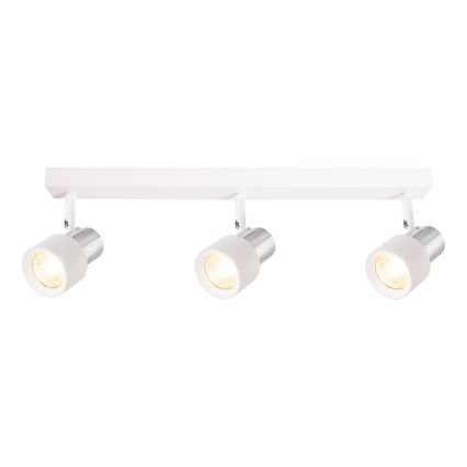 Oświetlenie punktowe CINO 3xGU10/8W/230V białe