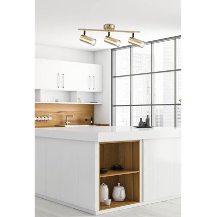 Oświetlenie punktowe COLLY 3xGU10/15W/230V złote
