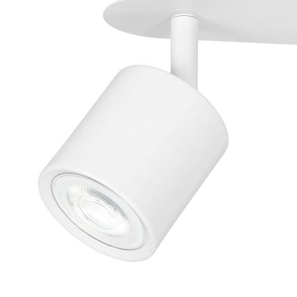Oświetlenie punktowe DEMIA 2xGU10/8W/230V biały