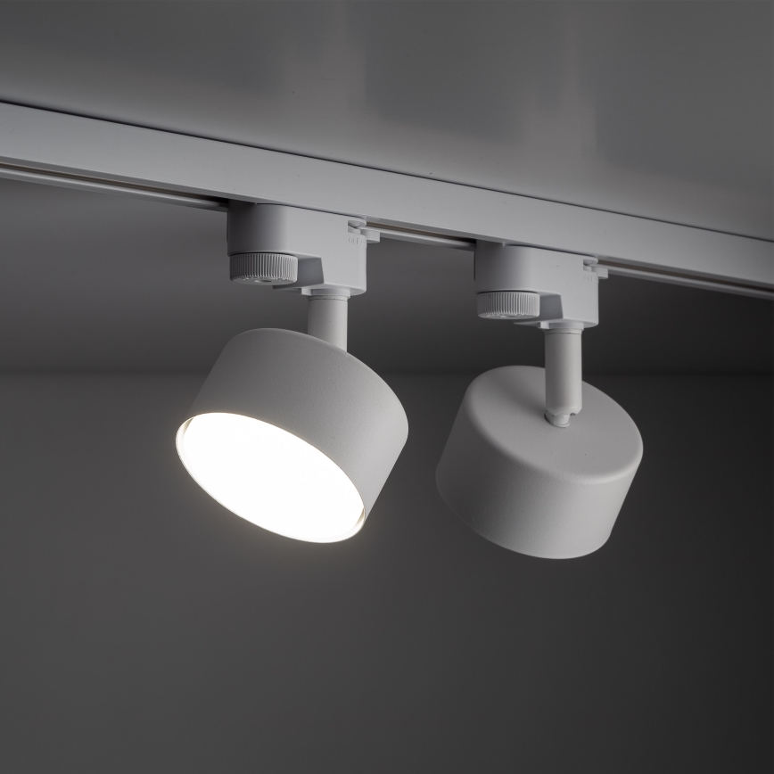 Oświetlenie punktowe do 1-fazowego systemu szynowego AVIA 1xGX53/15W/230V biały
