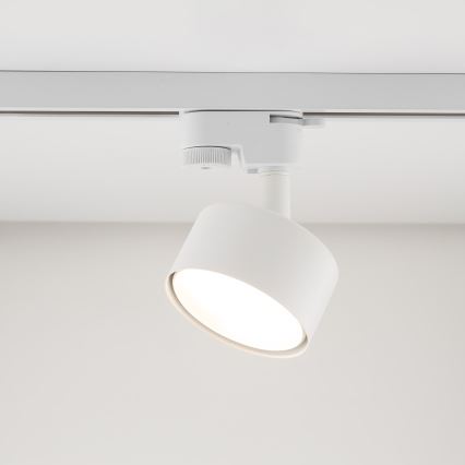 Oświetlenie punktowe do 1-fazowego systemu szynowego AVIA 1xGX53/15W/230V biały
