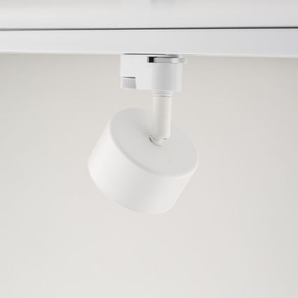 Oświetlenie punktowe do 1-fazowego systemu szynowego AVIA 1xGX53/15W/230V biały