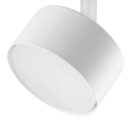 Oświetlenie punktowe do 1-fazowego systemu szynowego AVIA 1xGX53/15W/230V biały