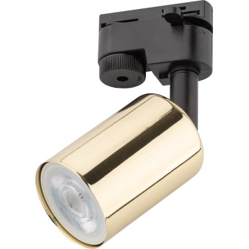 Oświetlenie punktowe do systemu szynowego TOP 1xGU10/10W/230V złote/czarne