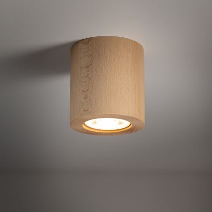 Oświetlenie punktowe EVE 1xGU10/10W/230V buk