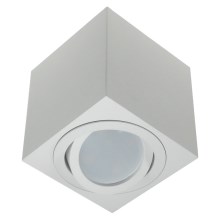Oświetlenie punktowe FEBE 1xGU10/30W/230V biały