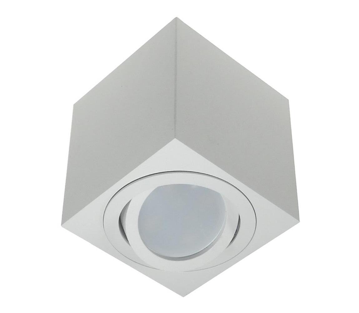 Oświetlenie punktowe FEBE 1xGU10/30W/230V biały
