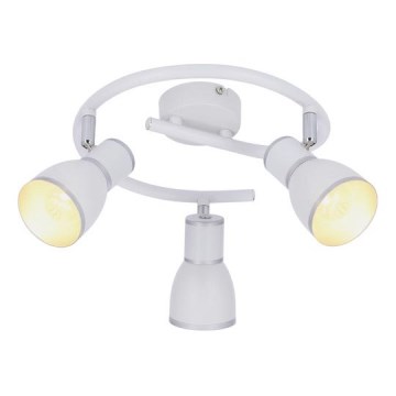 Oświetlenie punktowe FIDO 3xE14/40W/230V biały