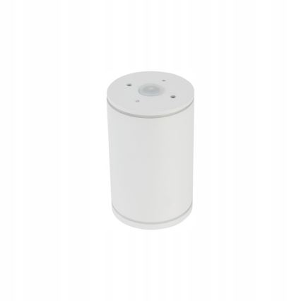 Oświetlenie punktowe FLARE 1xGU10/10W/230V 10 cm biały