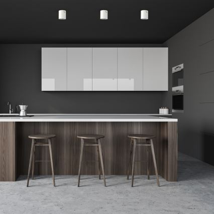 Oświetlenie punktowe GEORGE 1xE27/60W/230V śr. 13,7 cm białe