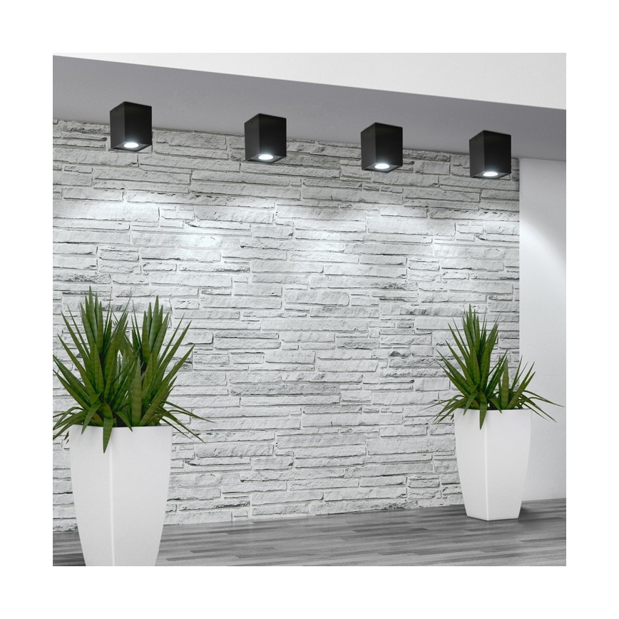 Oświetlenie punktowe HADAR Q1 1xGU10/10W/230V czarny