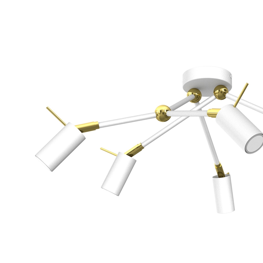 Oświetlenie punktowe IRIS 6xGU10/MR11/40W/230V biały/gold