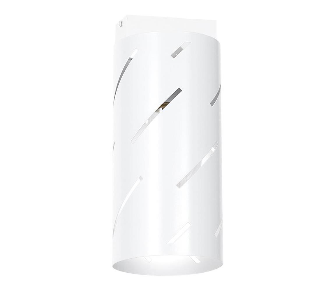 Oświetlenie punktowe JIM 1xE27/60W/230V biały