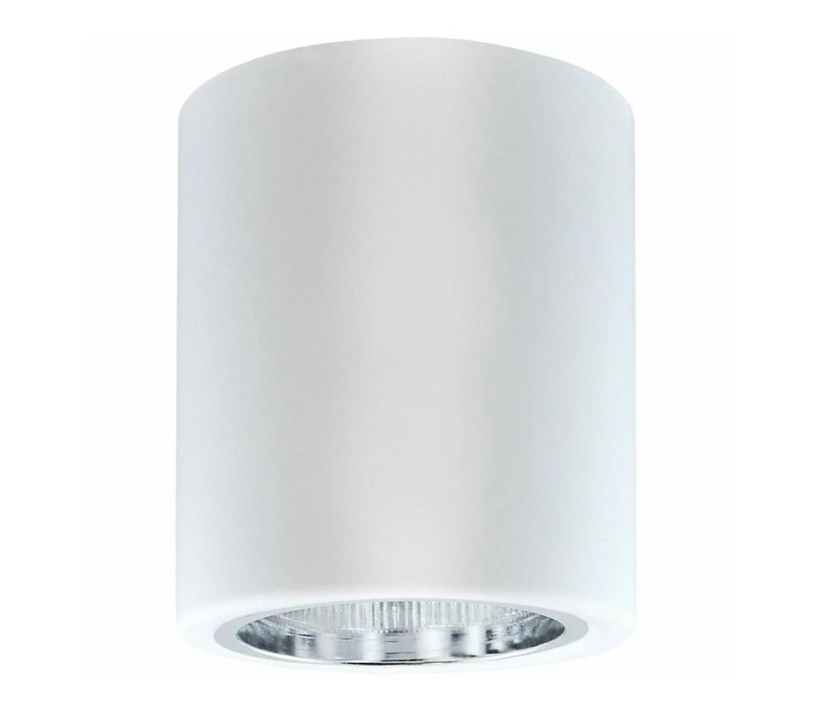 Oświetlenie punktowe JUPITER 1xE27/20W/230V śr. 9,8 cm białe