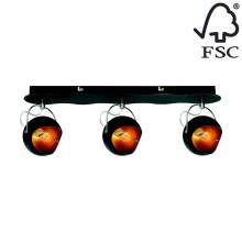 Oświetlenie punktowe KANA 3xG9/28W/230V - certyfikat FSC