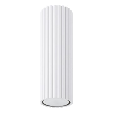 Oświetlenie punktowe KARBON 1xGU10/10W/230V 20 cm biały