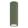 Oświetlenie punktowe KARBON 1xGU10/10W/230V 20 cm zielony