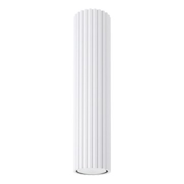 Oświetlenie punktowe KARBON 1xGU10/10W/230V 30 cm biały