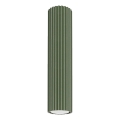 Oświetlenie punktowe KARBON 1xGU10/10W/230V 30 cm zielony