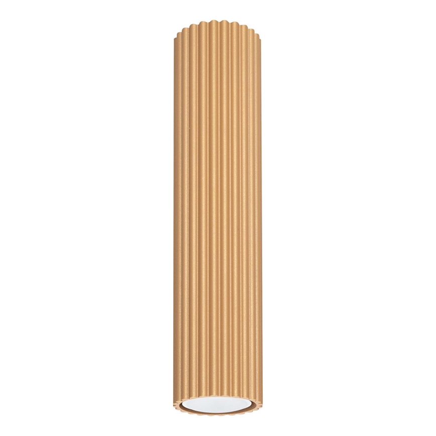 Oświetlenie punktowe KARBON 1xGU10/10W/230V 30 cm złoty