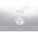 Oświetlenie punktowe LAROSA 1 1xGU10/40W/230V biały