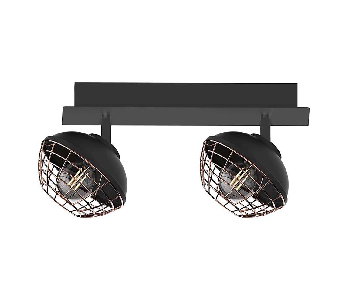 Oświetlenie punktowe LOGAN 2xE14/40W/230V