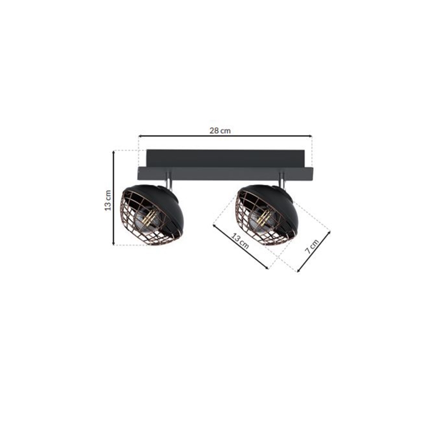 Oświetlenie punktowe LOGAN 2xE14/40W/230V