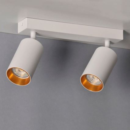 Oświetlenie punktowe MARIBEL 2xGU10/10W/230V białe