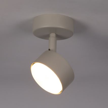 Oświetlenie punktowe NEMO 1xGX53/12W/230V beżowy