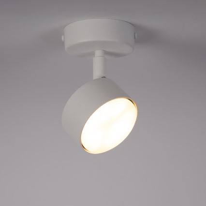 Oświetlenie punktowe NEMO 1xGX53/12W/230V biały