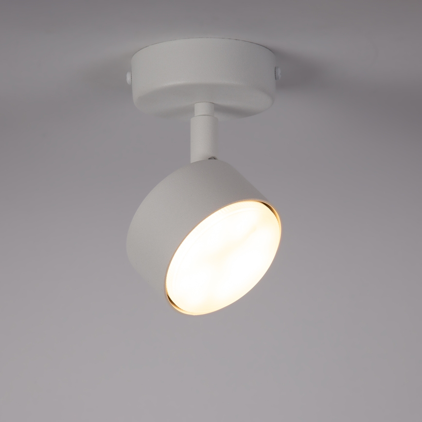 Oświetlenie punktowe NEMO 1xGX53/12W/230V biały