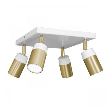 Oświetlenie punktowe NEST 4xGU10/8W/230V biały/mosiądz