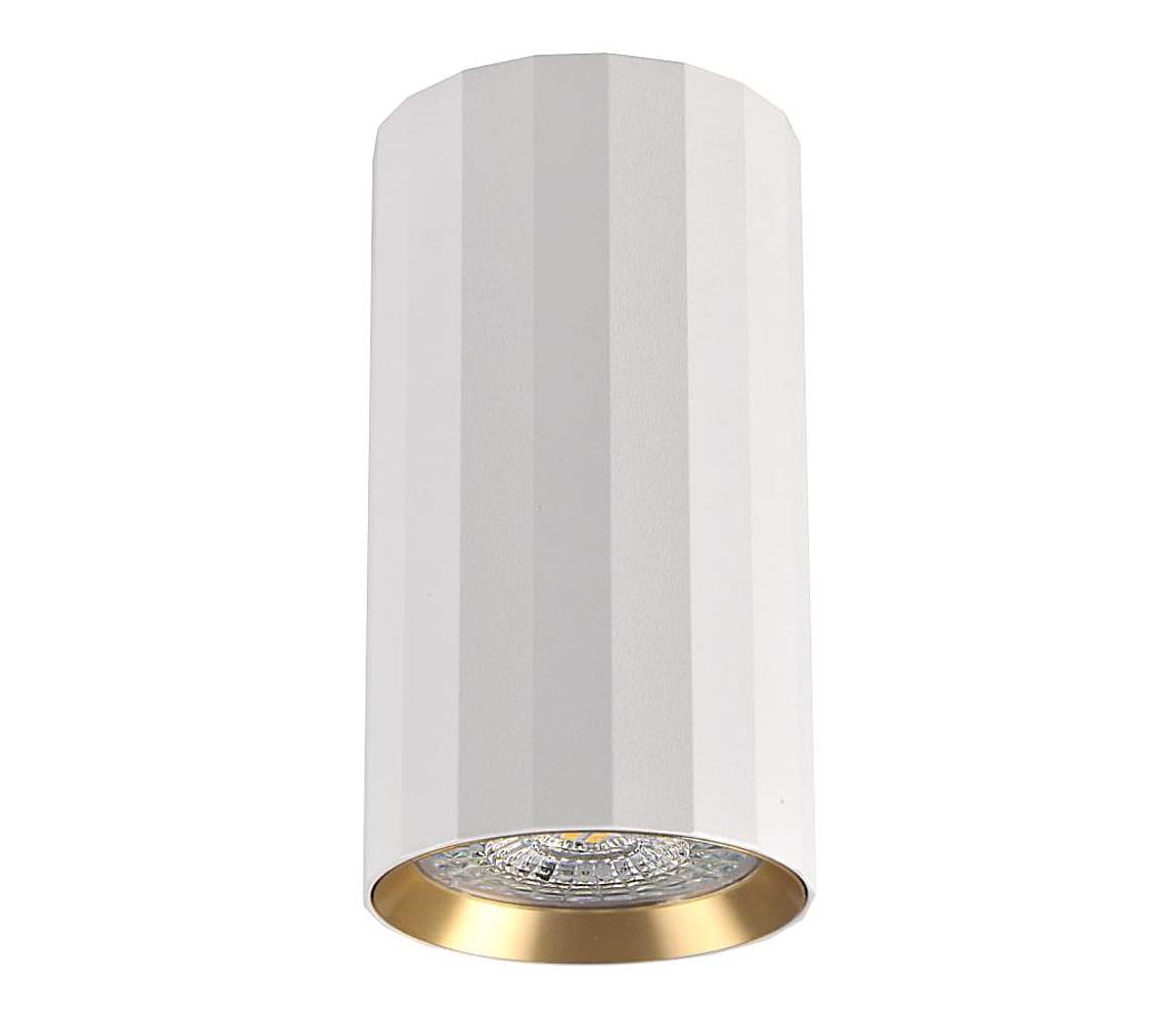 Oświetlenie punktowe NICEA 1xGU10/10W/230V białe