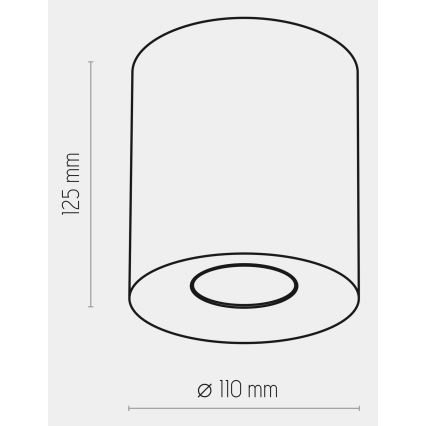 Oświetlenie punktowe ORION 1xGU10/10W/230V biały