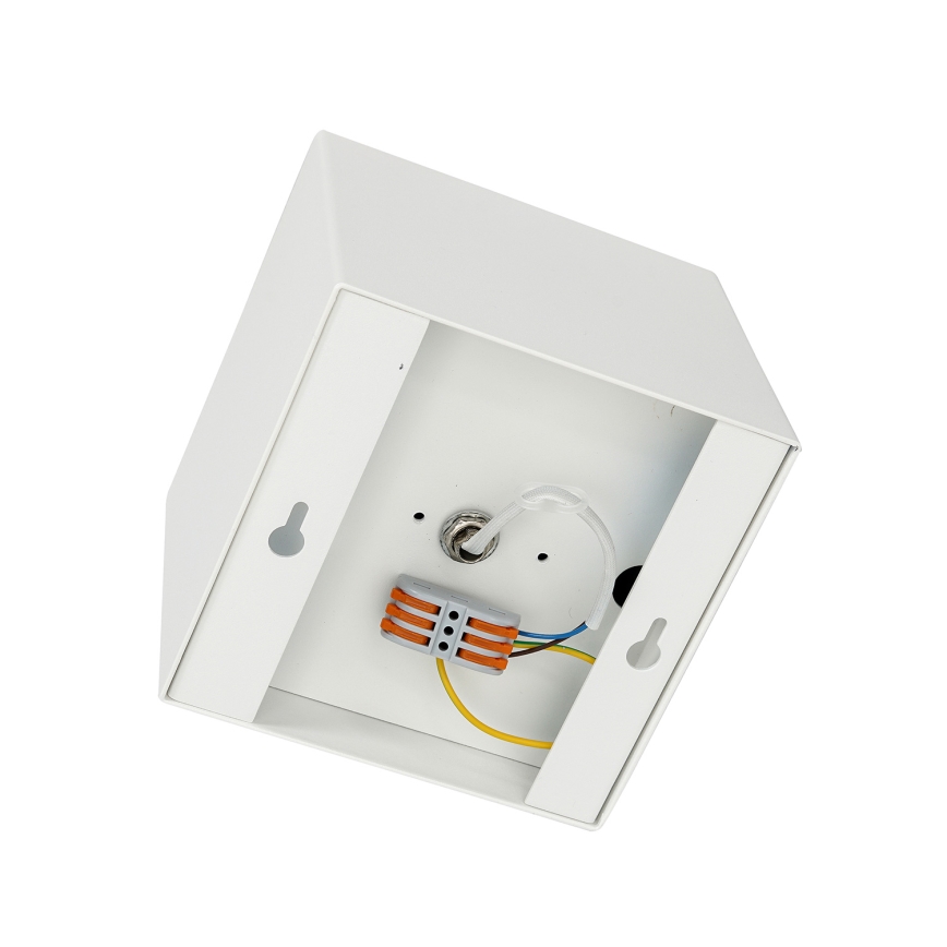Oświetlenie punktowe PLAZA AR111 1xGU10/12W/230V