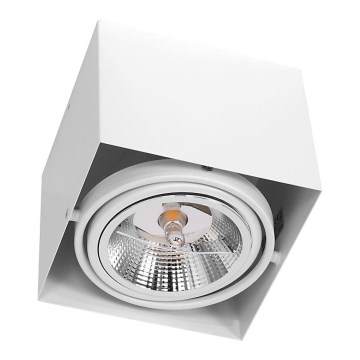 Oświetlenie punktowe PLAZA AR111 1xGU10/12W/230V