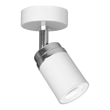 Oświetlenie punktowe RENO 1xGU10/8W/230V biały/chrom błyszczący