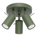 Oświetlenie punktowe RING 3xGU10/10W/230V zielony