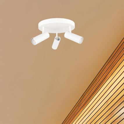 Oświetlenie punktowe ROSETTE 3xGU10/7W/230V białe