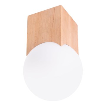 Oświetlenie punktowe SOLIS 1xG9/8W/230V buk