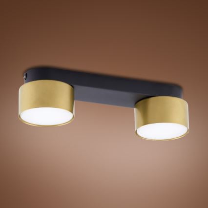 Oświetlenie punktowe SPACE GOLD 2xGX53/15W/230V