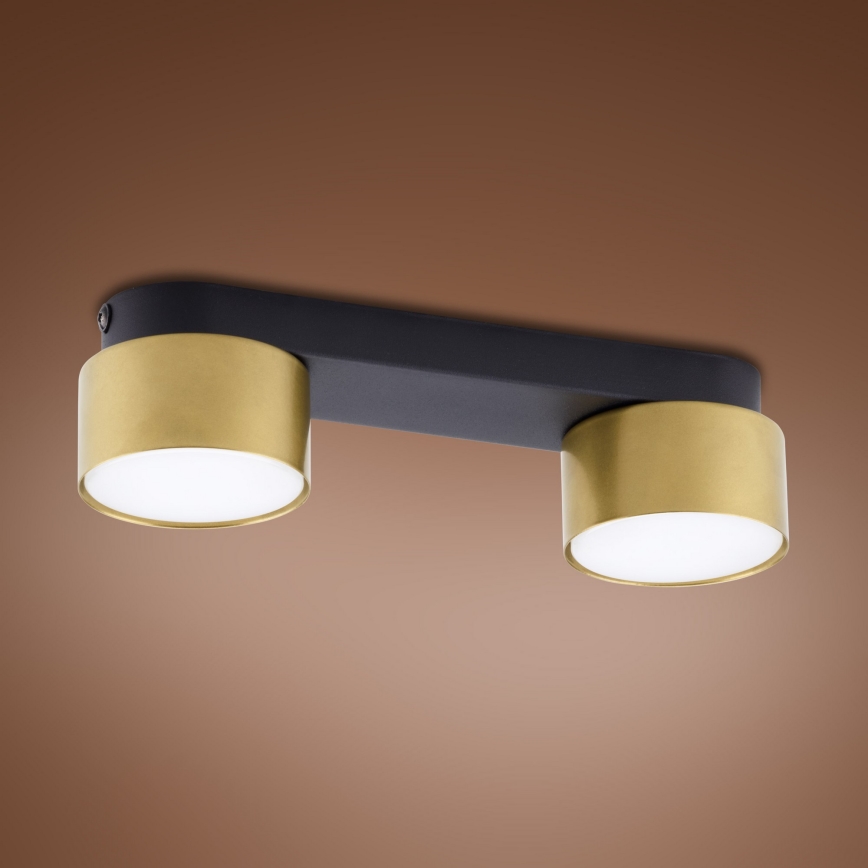 Oświetlenie punktowe SPACE GOLD 2xGX53/15W/230V