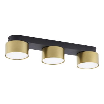 Oświetlenie punktowe SPACE GOLD 3xGX53/15W/230V