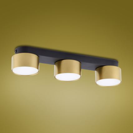 Oświetlenie punktowe SPACE GOLD 3xGX53/15W/230V
