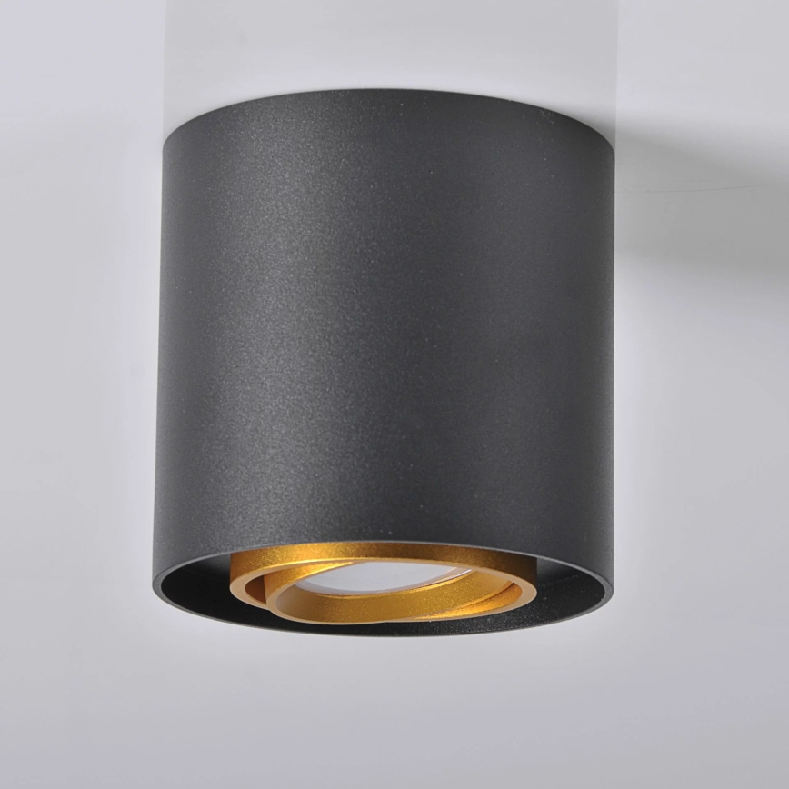 Oświetlenie punktowe sufitowe EGER 1xGU10/10W/230W