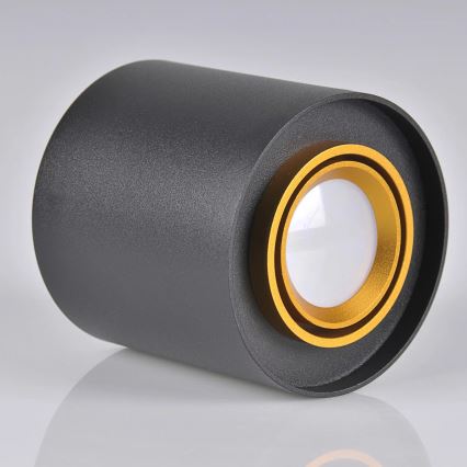 Oświetlenie punktowe sufitowe EGER 1xGU10/10W/230W