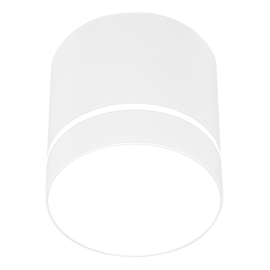 Oświetlenie punktowe TUBA 1xGU10/15W/230V biały