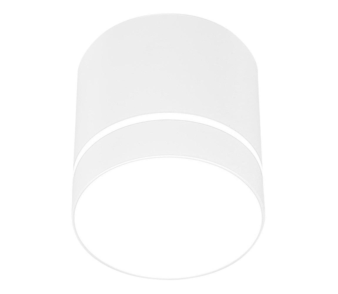 Oświetlenie punktowe TUBA 1xGU10/15W/230V biały