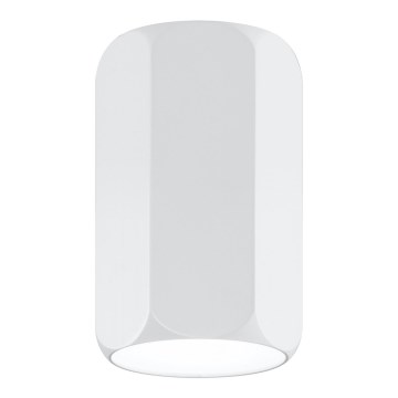 Oświetlenie punktowe TUBA 1xGU10/25W/230V biały